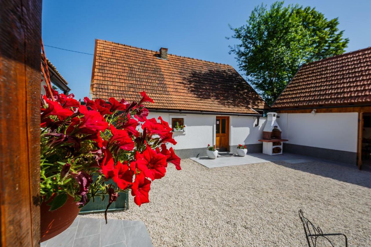 Beautiful Cottage With Heated Pool For 22 Ppl Plaški 외부 사진